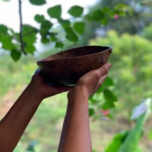 Retiro Ceremonia Ayahuasca - Yagé de Fin de Semana